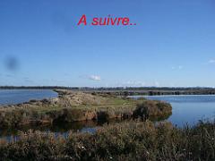 183 HYERES ET SES PALMIERS D14_000052